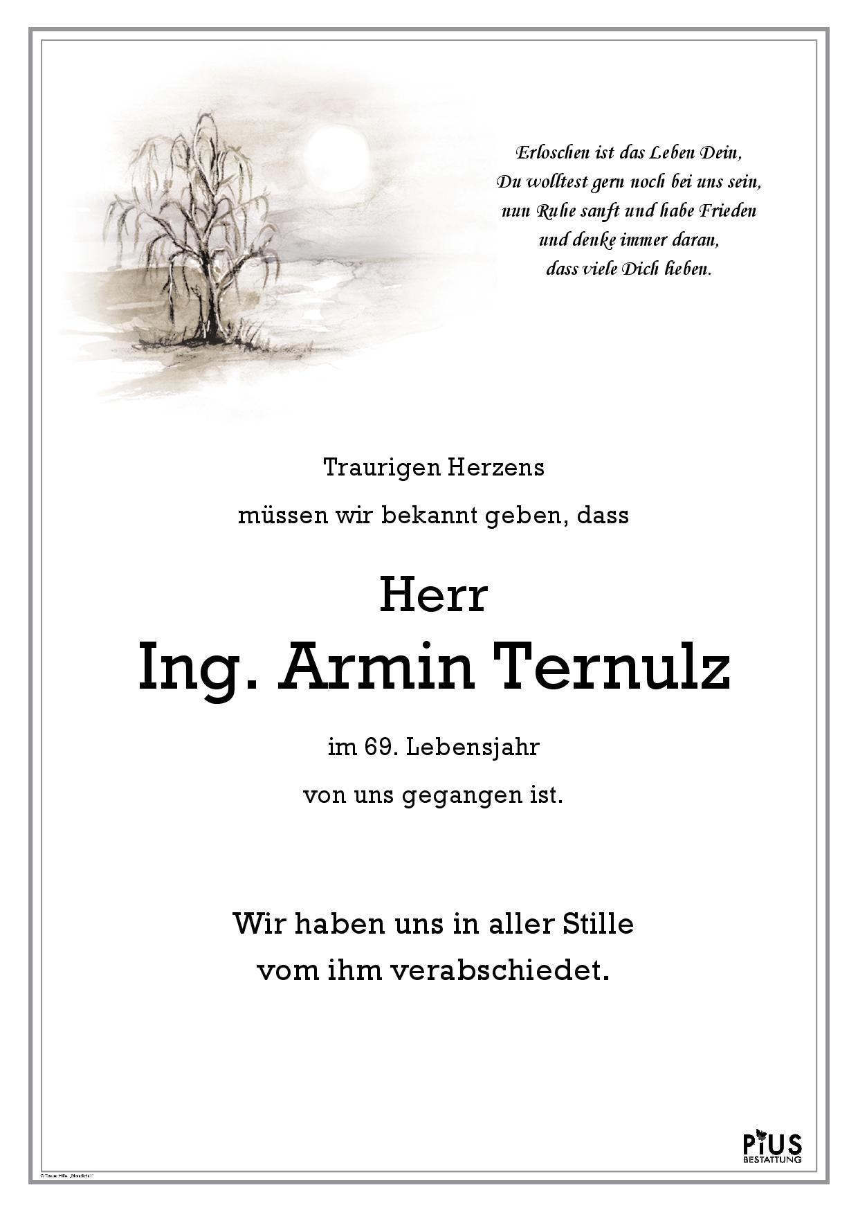 Ing. Armin Ternulz